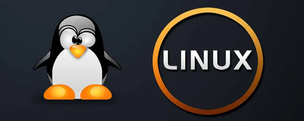 Linux大玩家